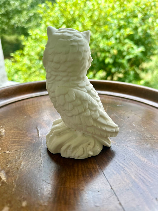 Alabaster owl
